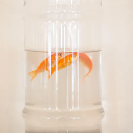 Regina Mare 3* Kateríni